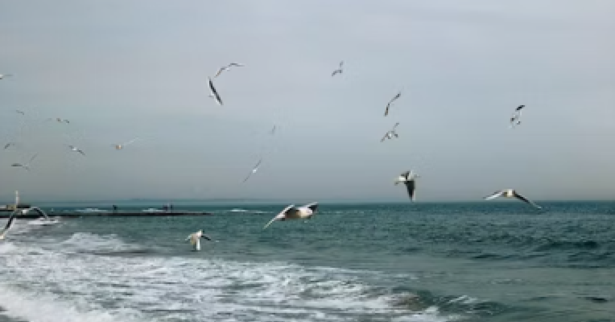 Travel Feelings Only the Ocean Can Explain