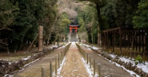 Travel Hacks for Exploring Japan Beyond Tokyo’s Lights